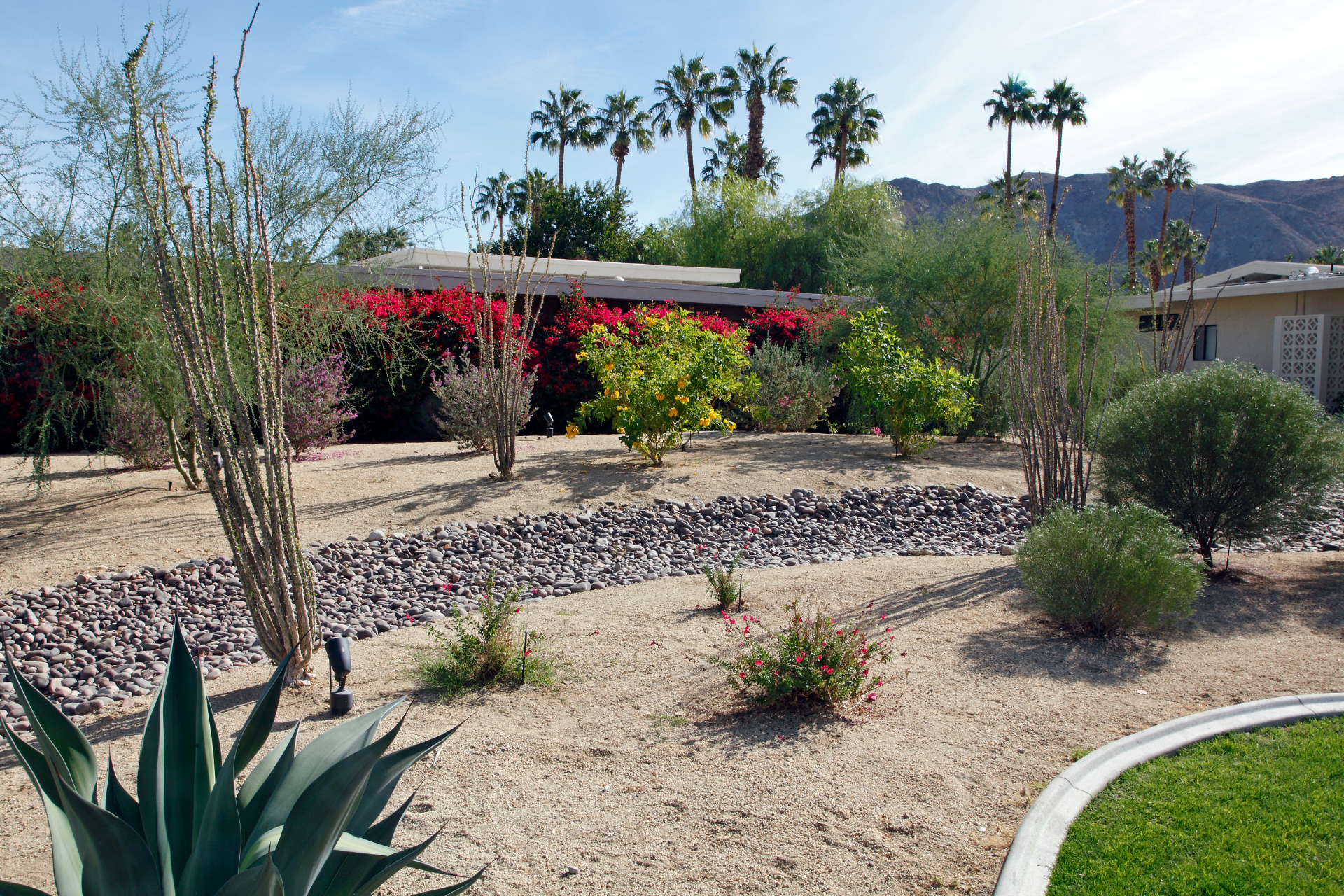 Xeriscaping