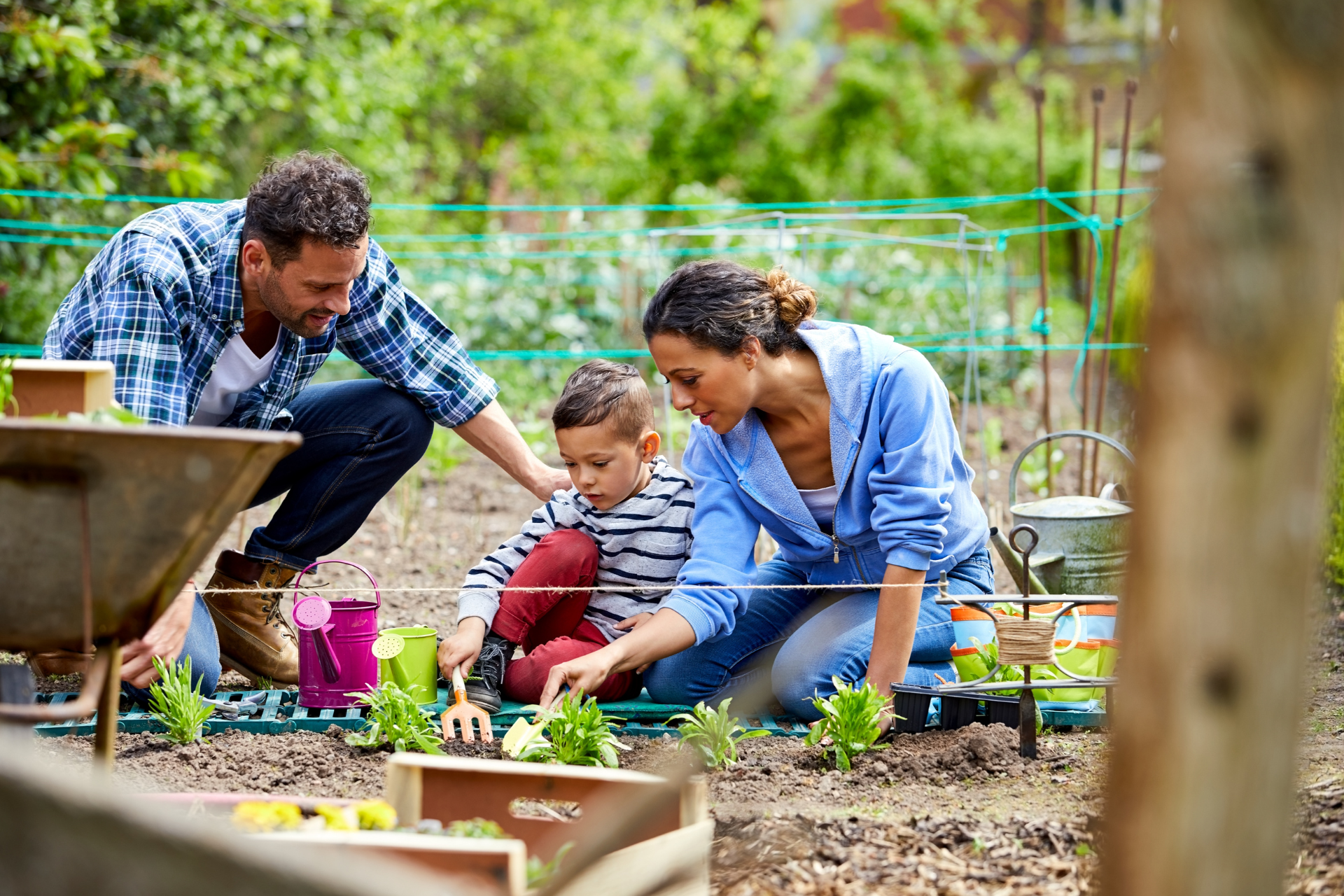 Family-Friendly Backyard