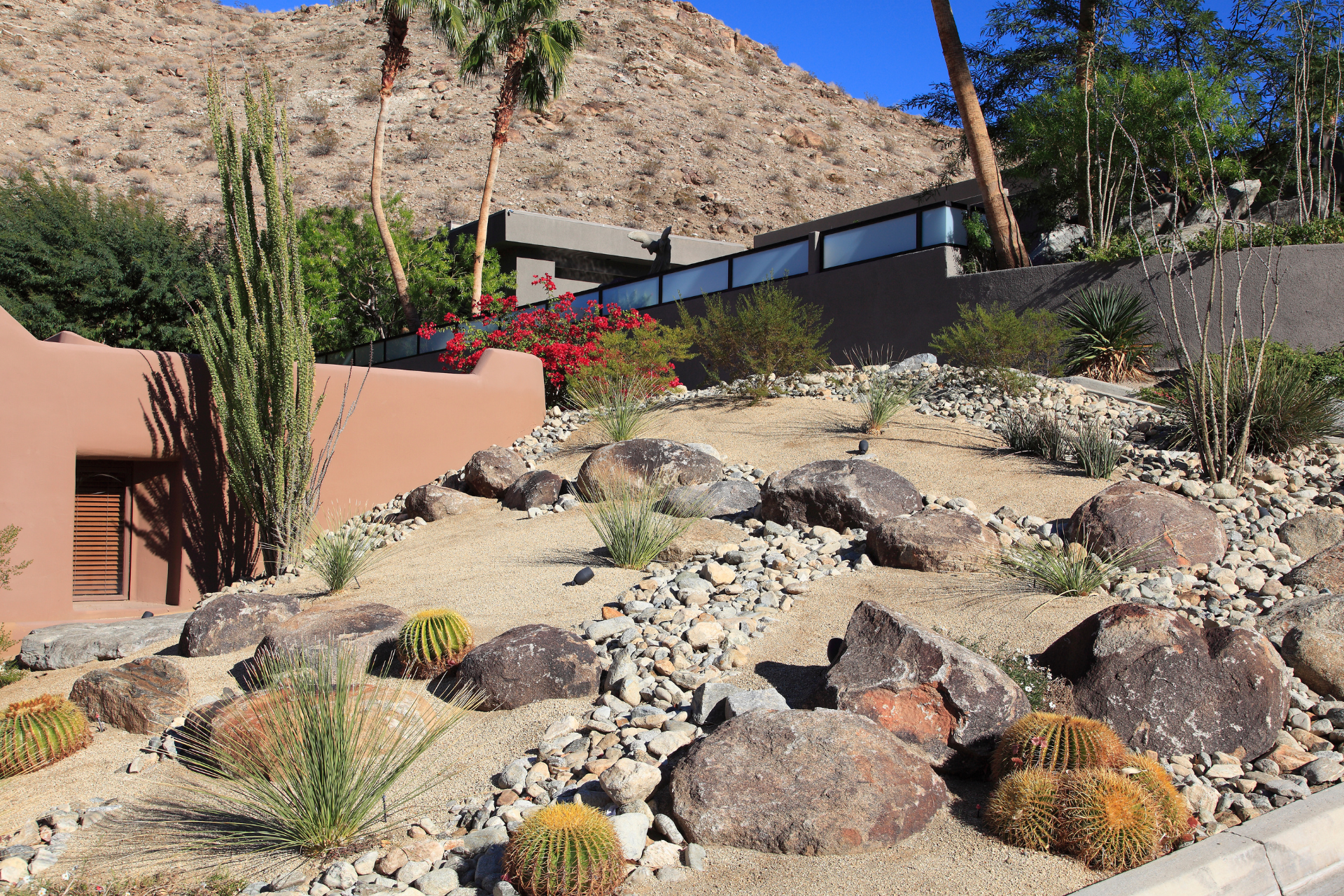 Xeriscaping