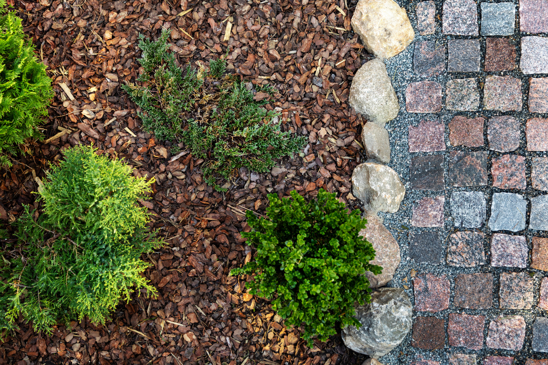 Mulch vs. Rock