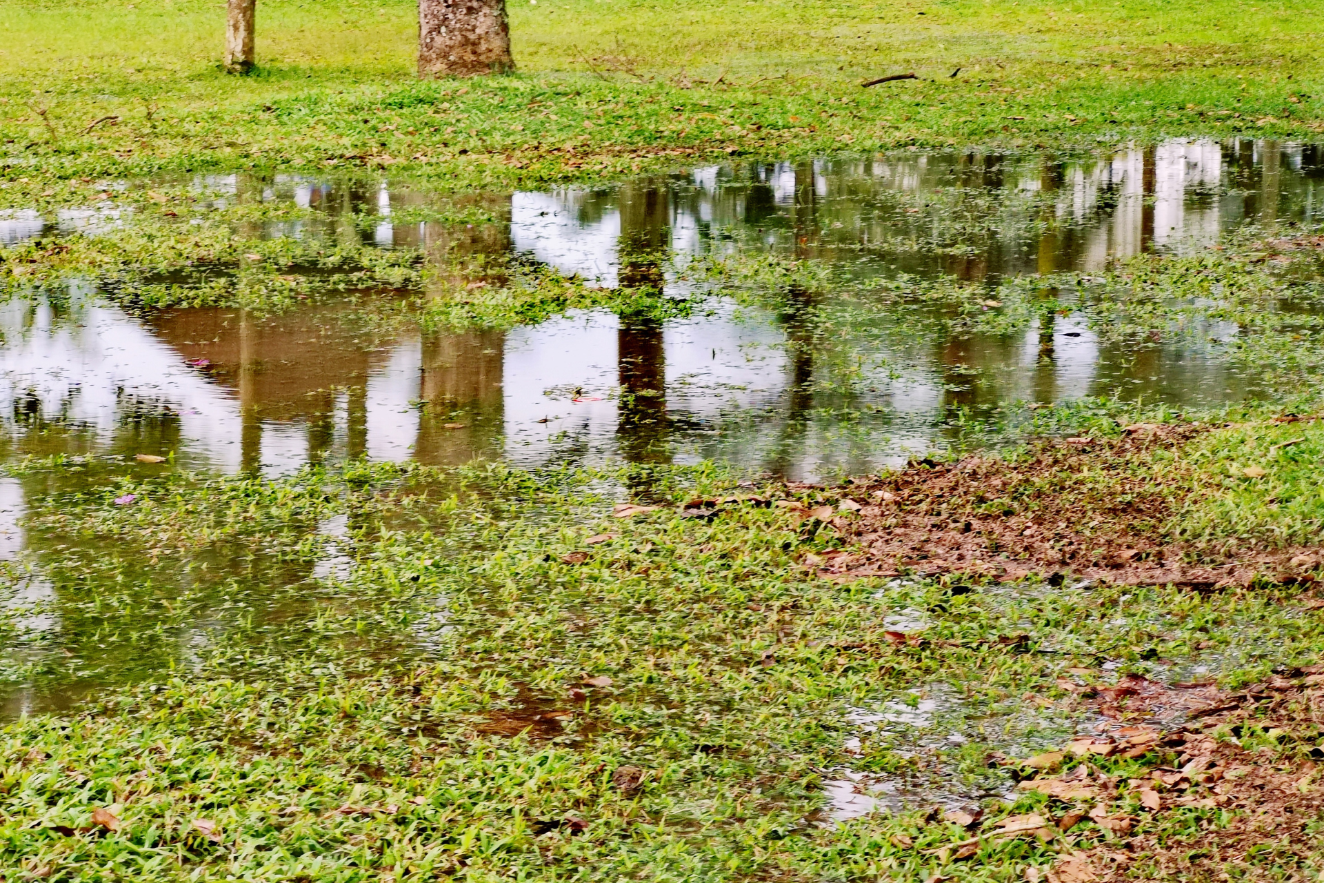 Landscaping for Flood Prevention