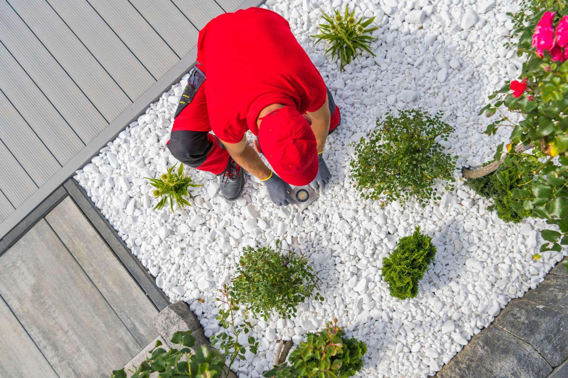 White Rocks for Home Landscaping