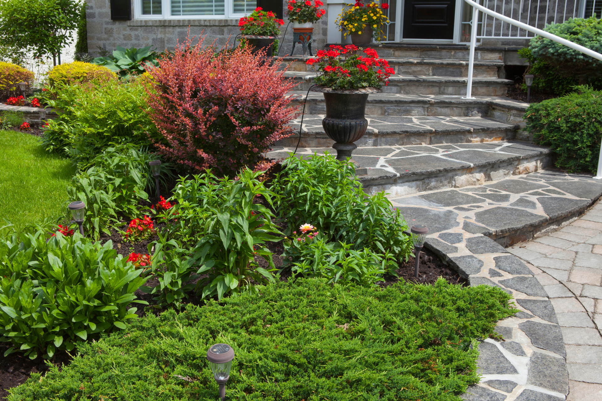 Front Yard Landscape
