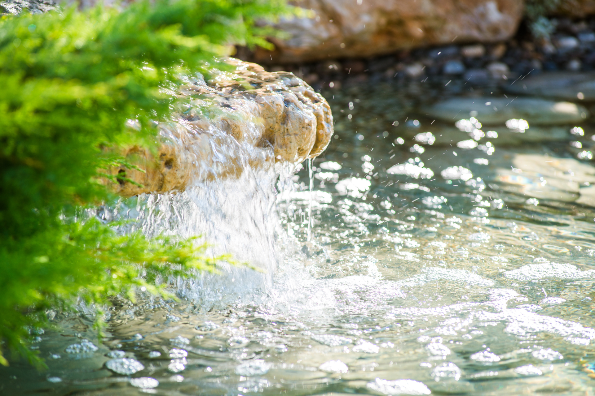 Water Feature
