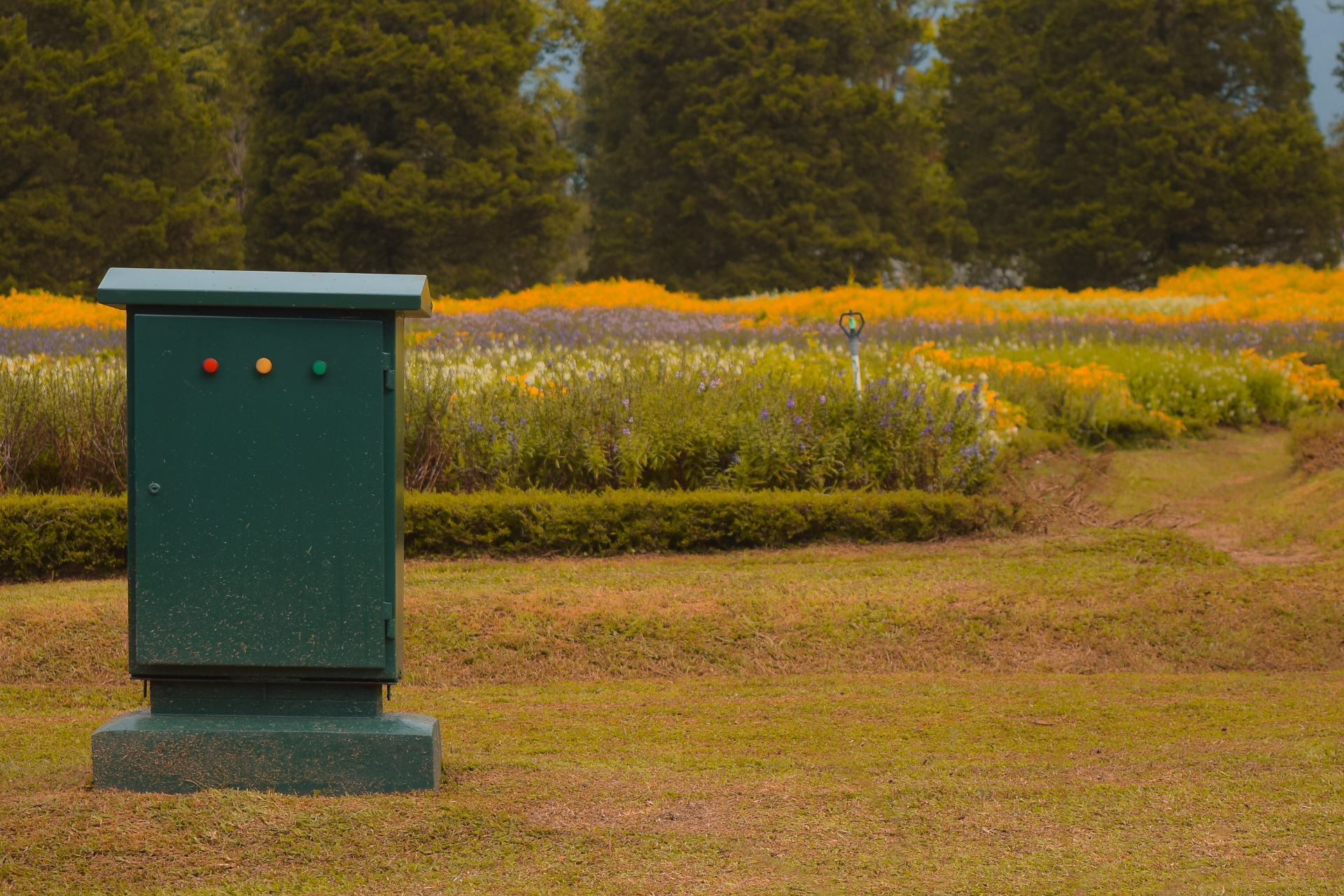 Electrical Box
