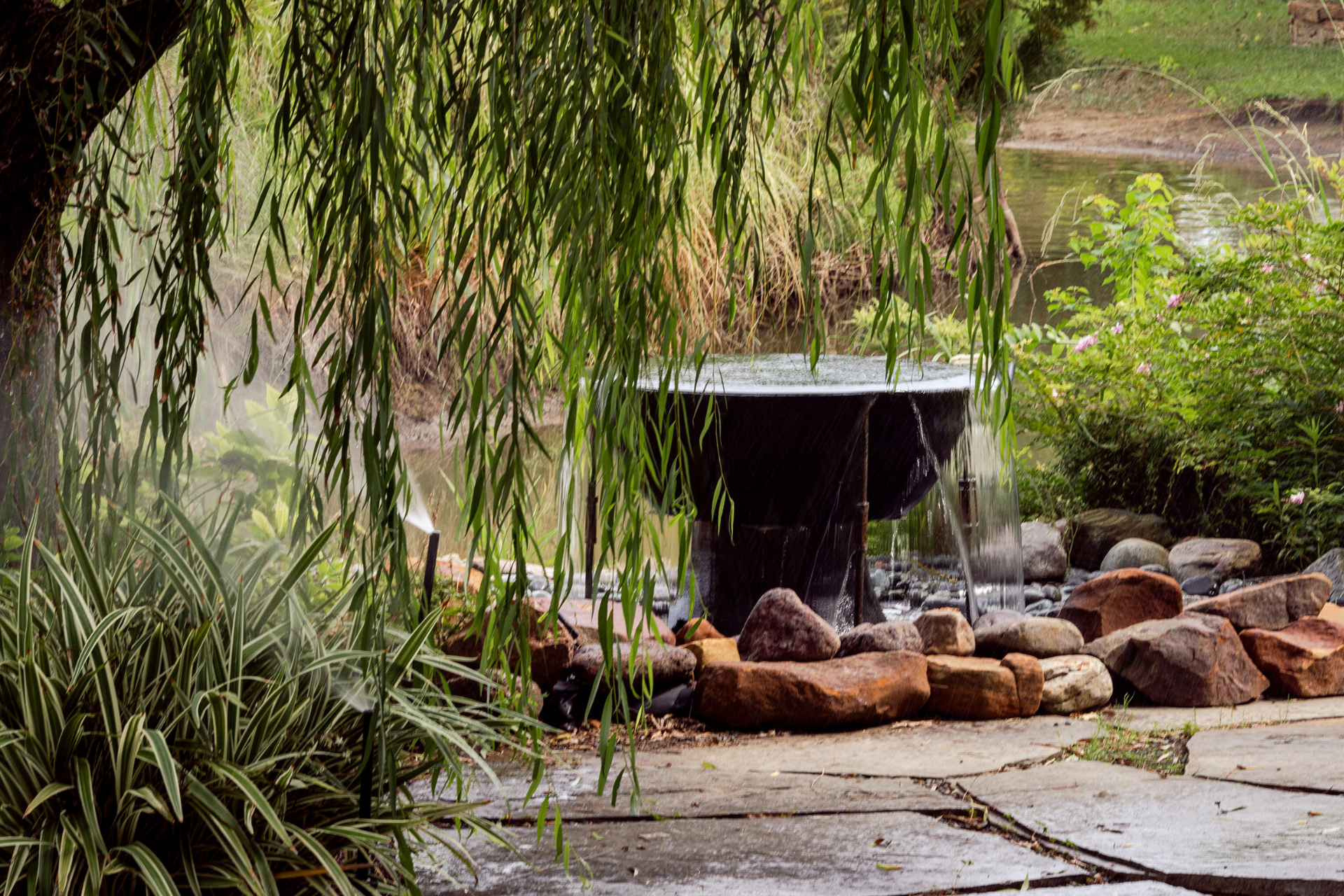 Zen-Like Backyard