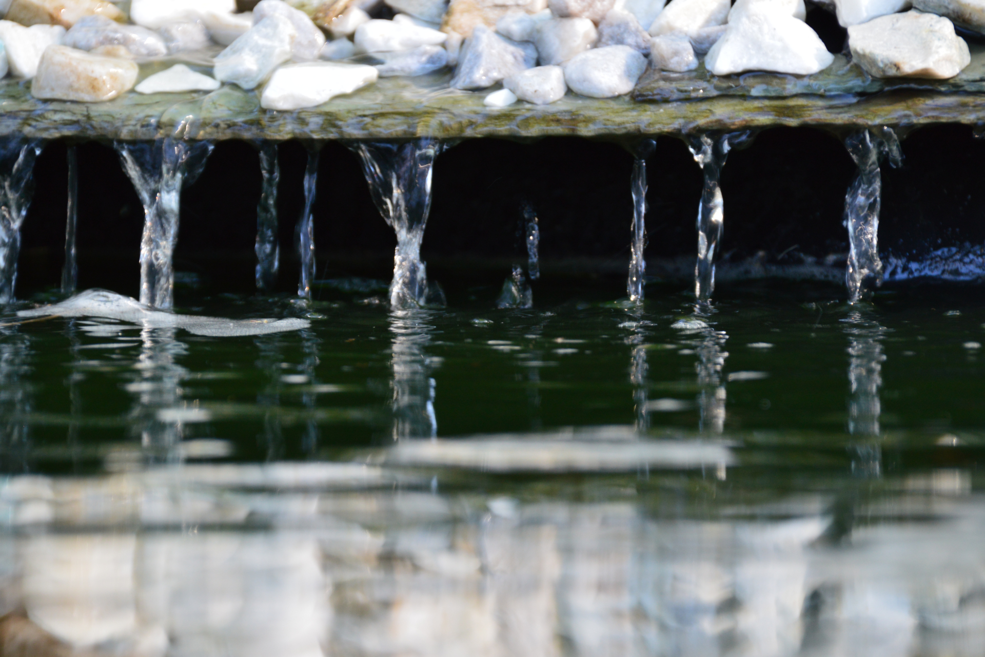 Water Feature