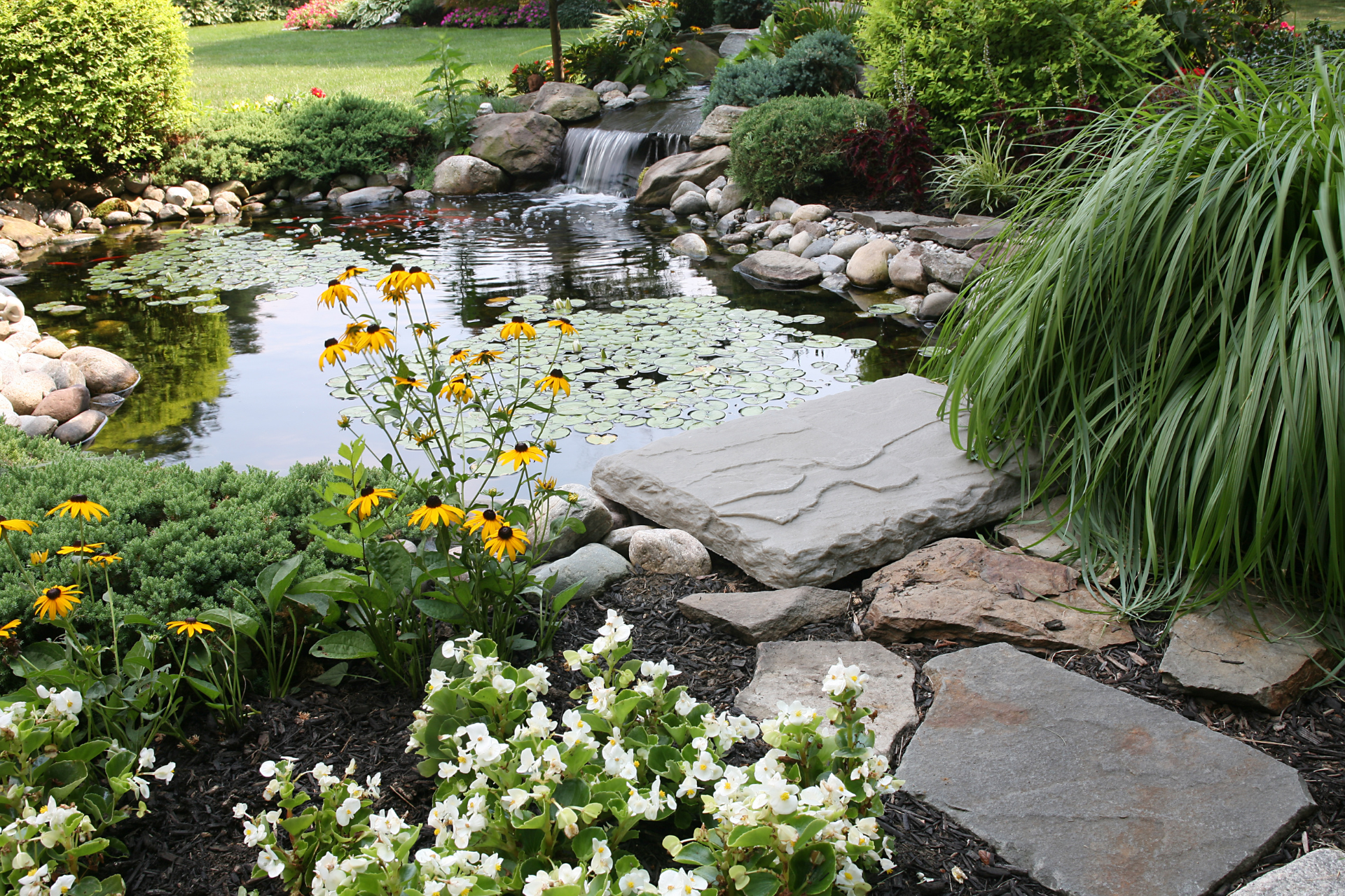 Backyard Pond and Waterfall