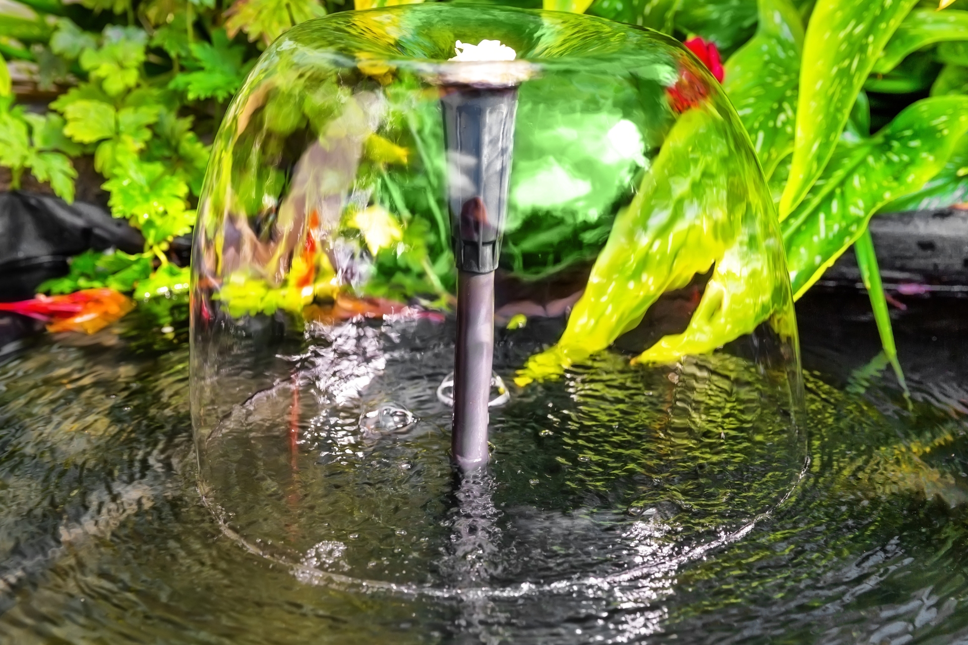 Water feature