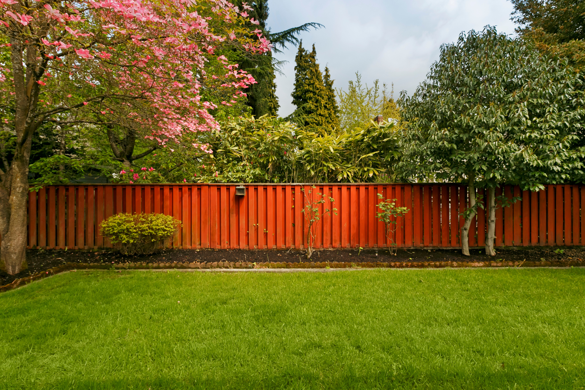 Fenced Yard