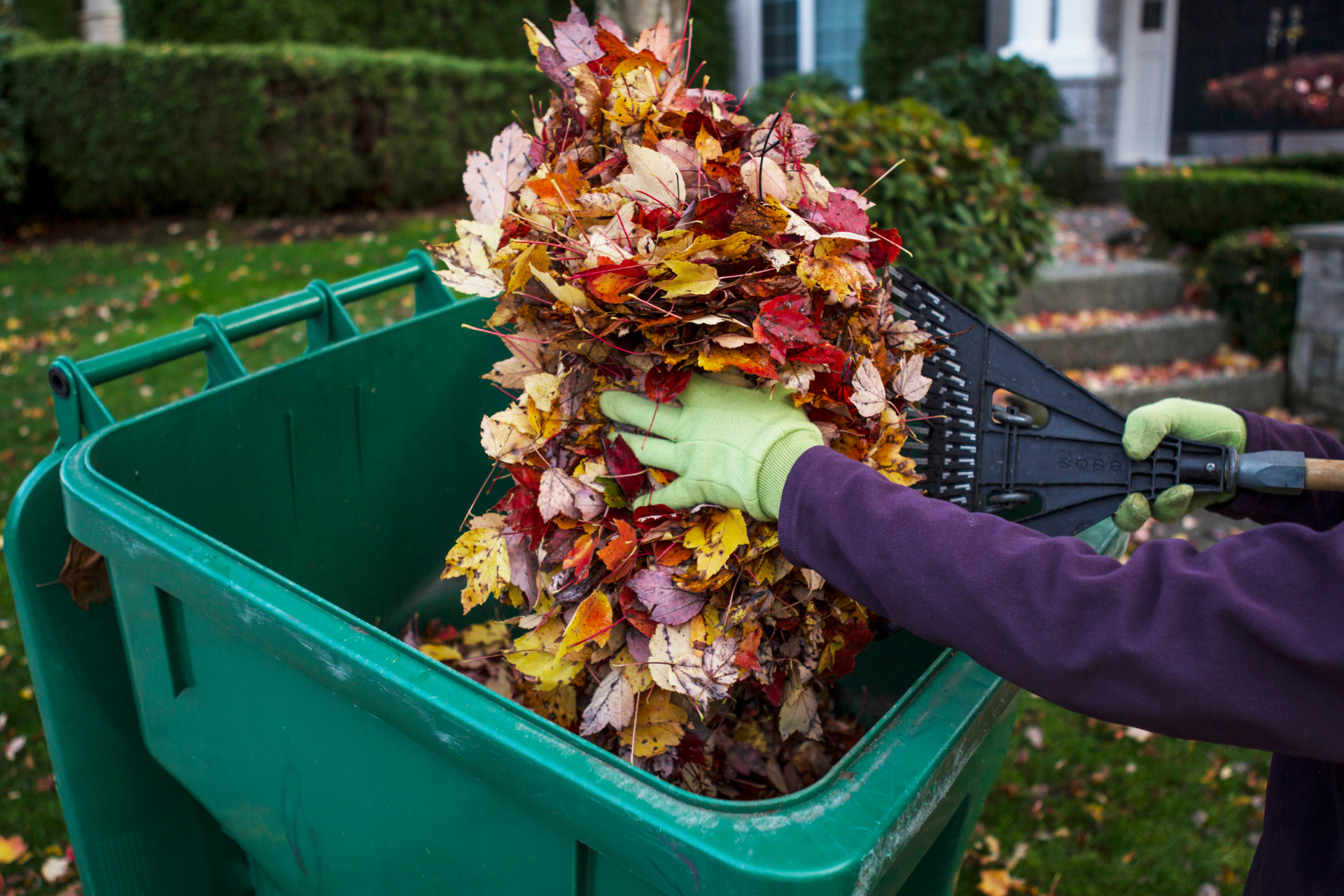 Yard Maintenance 
