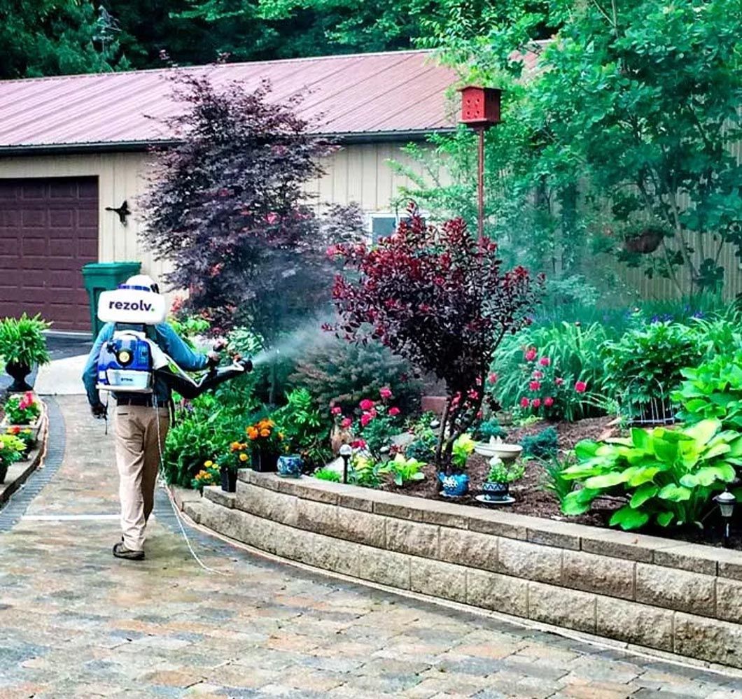 A man is spraying plants in a garden with a backpack.