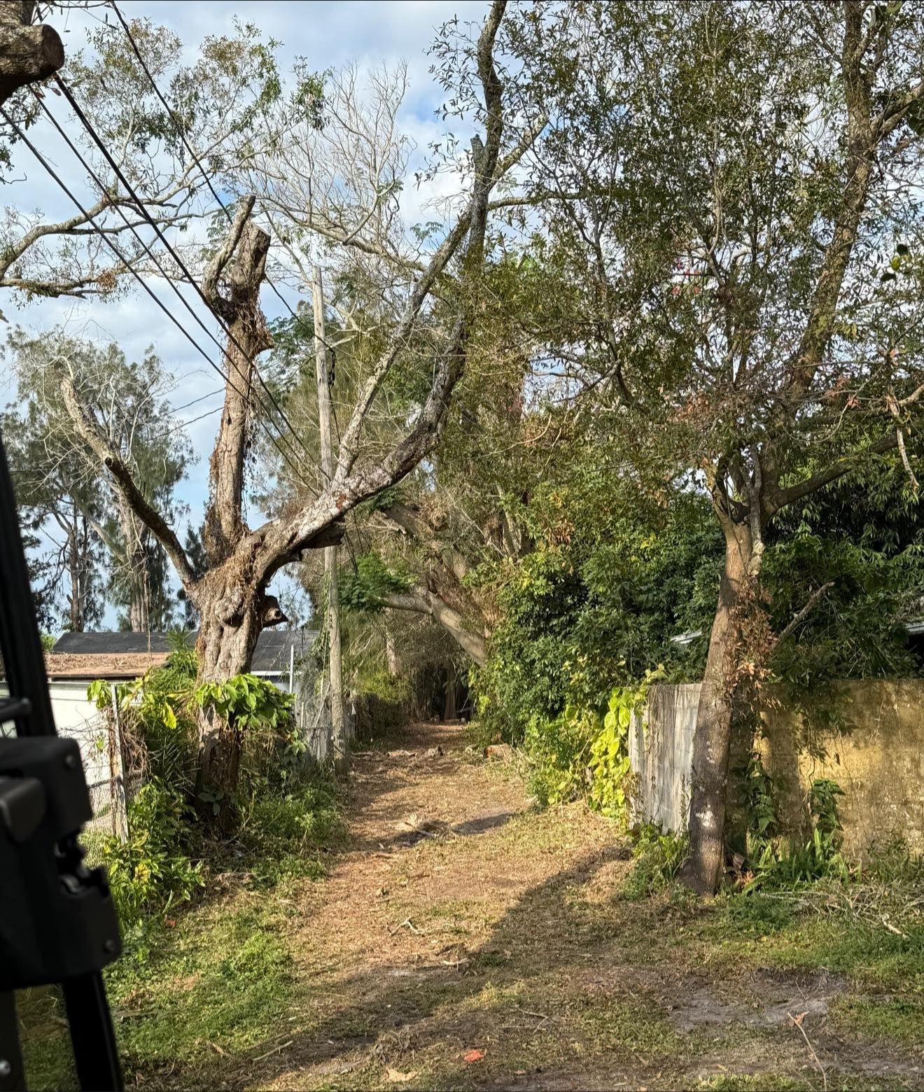 land management services 10