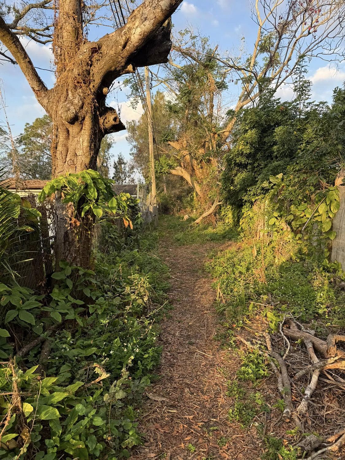 land management services 11