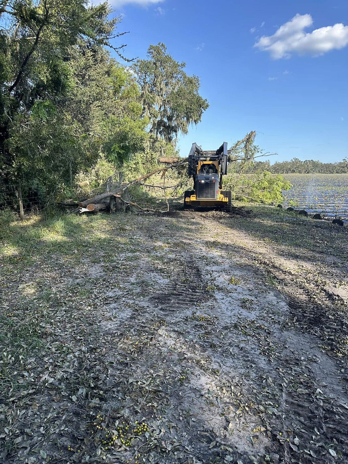 land management services 21