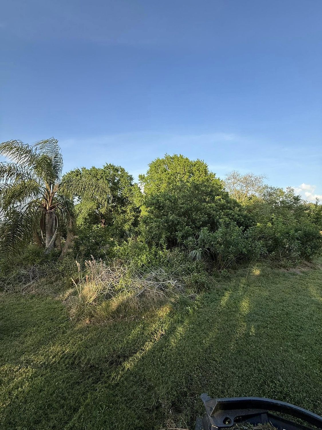 land management services 1