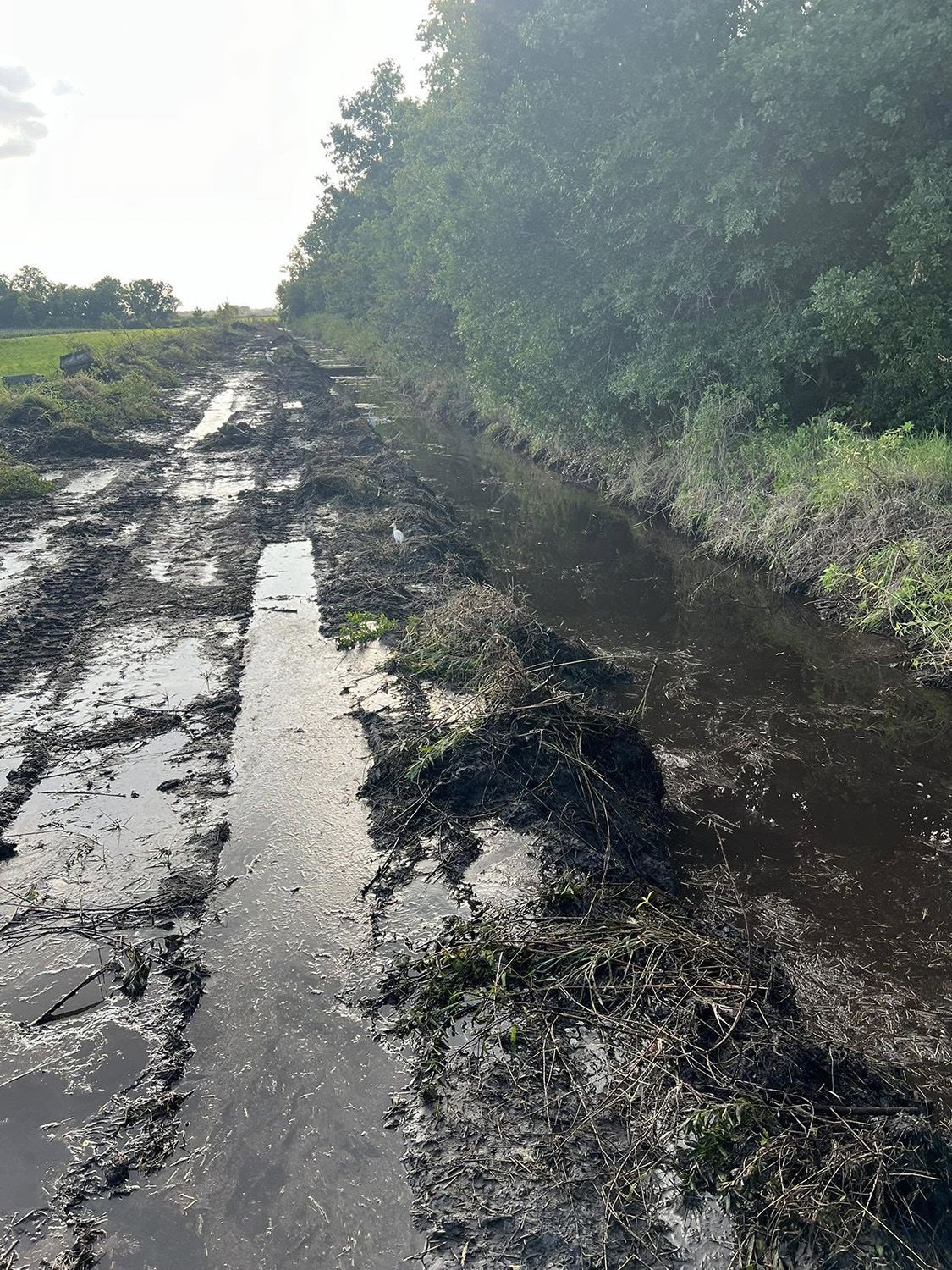 land management services 6