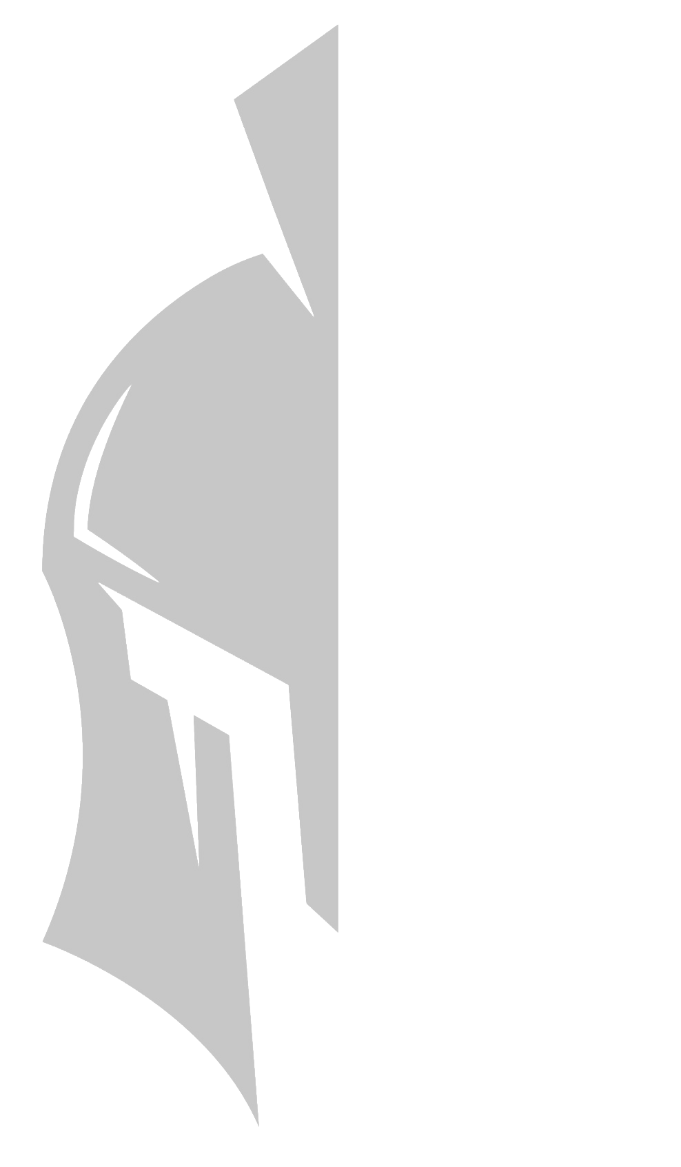 Half profile of a gray Spartan helmet.