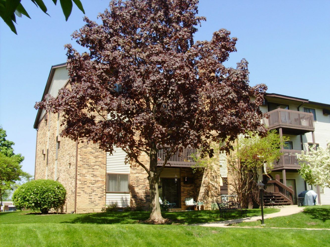 a brick building with a tree in front of it