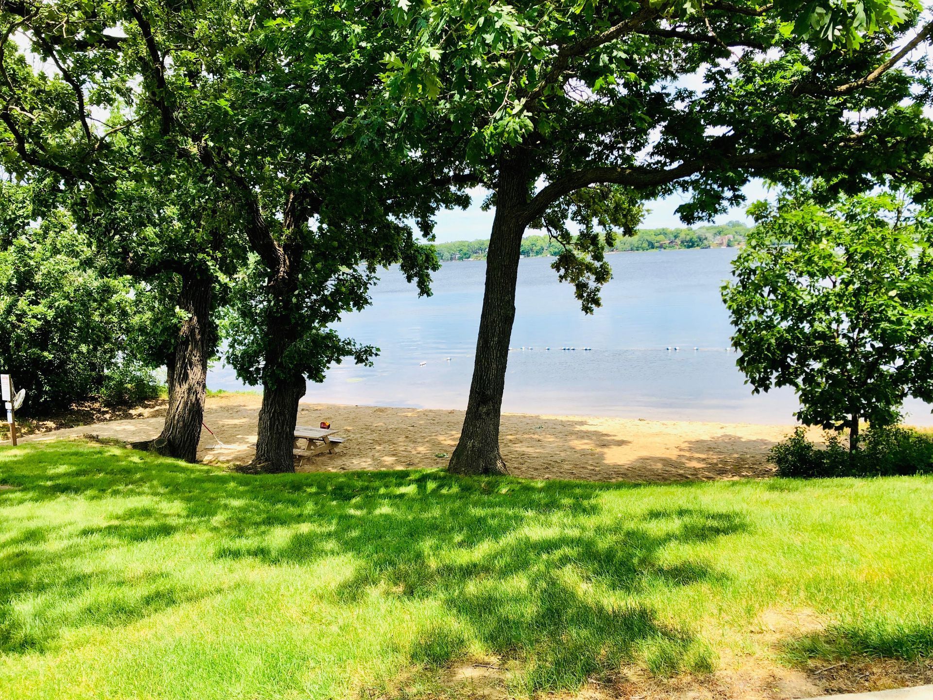 A grassy area with trees and a lake in the background.