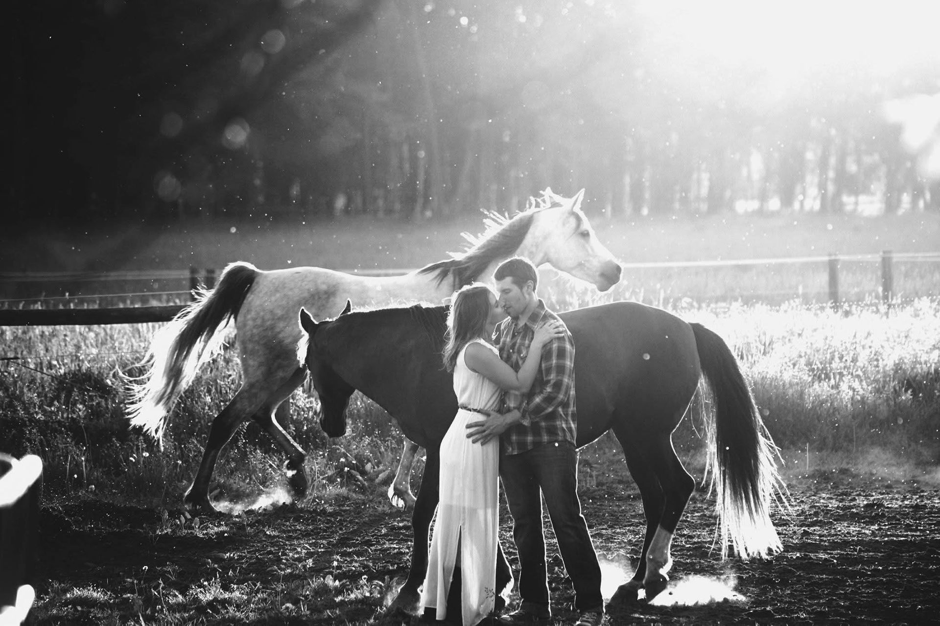 A man and woman are standing next to two horses in a field.
