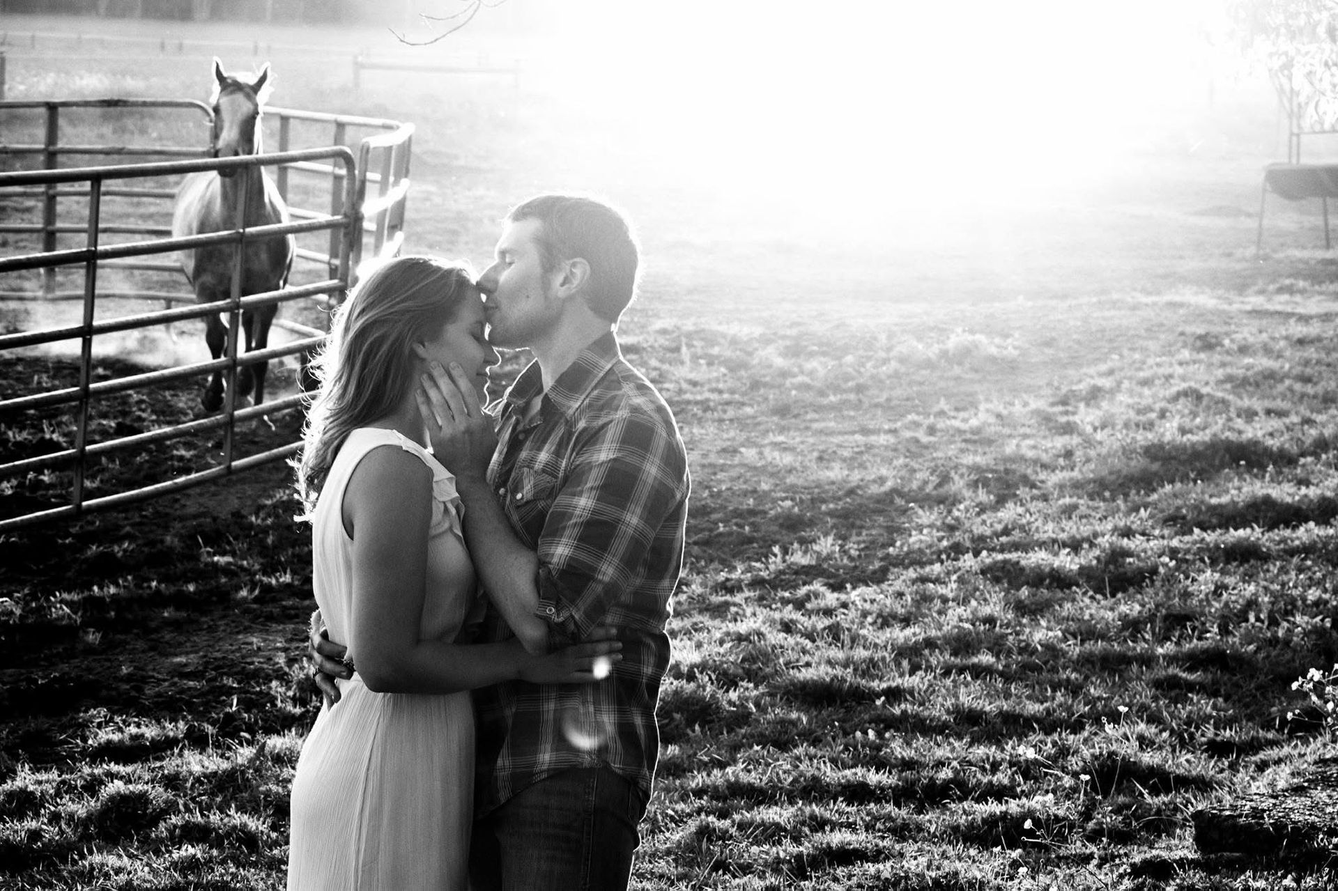 A man and a woman are kissing in a field with horses in the background.
