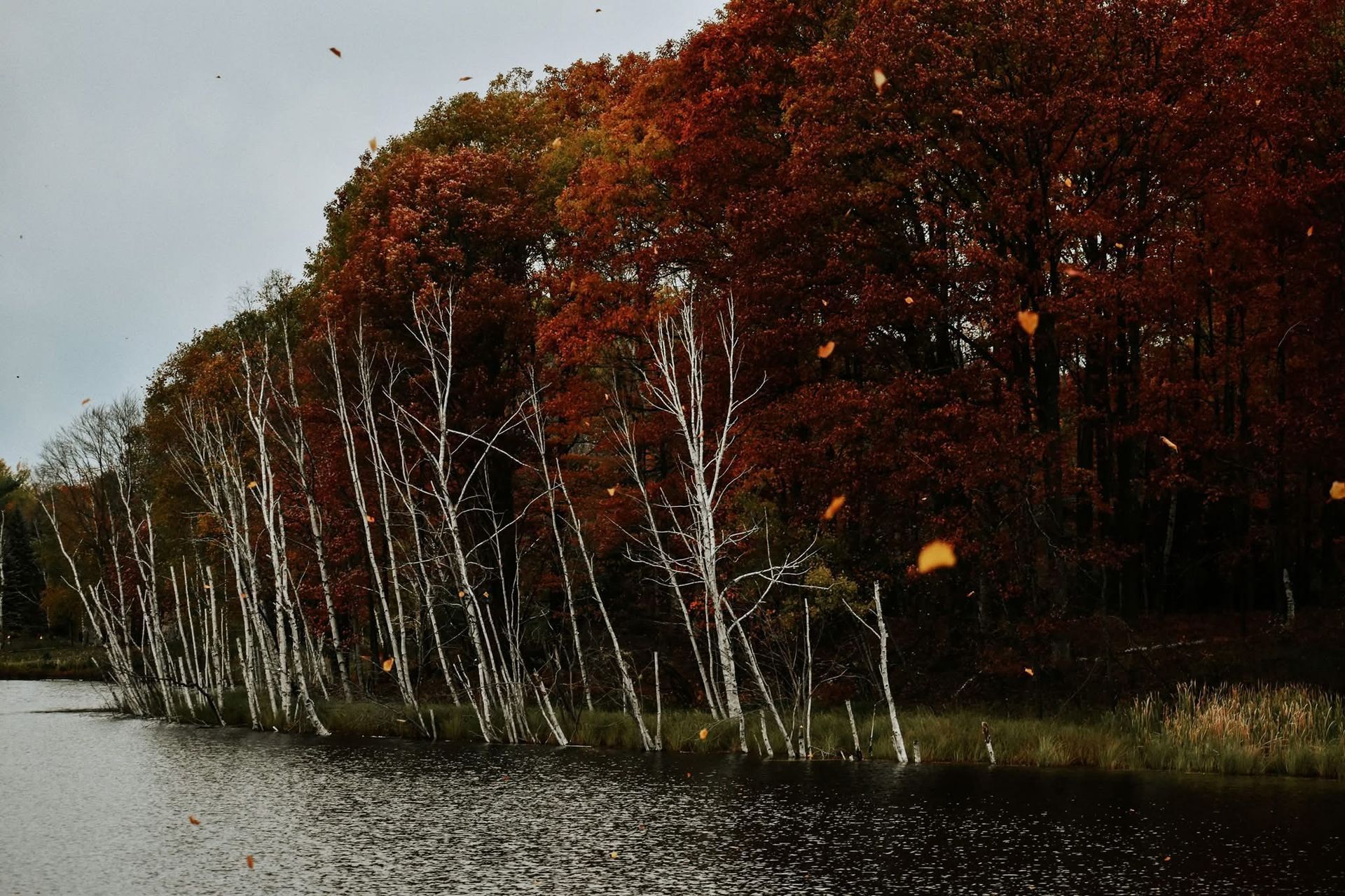 A lake surrounded by trees with red leaves
