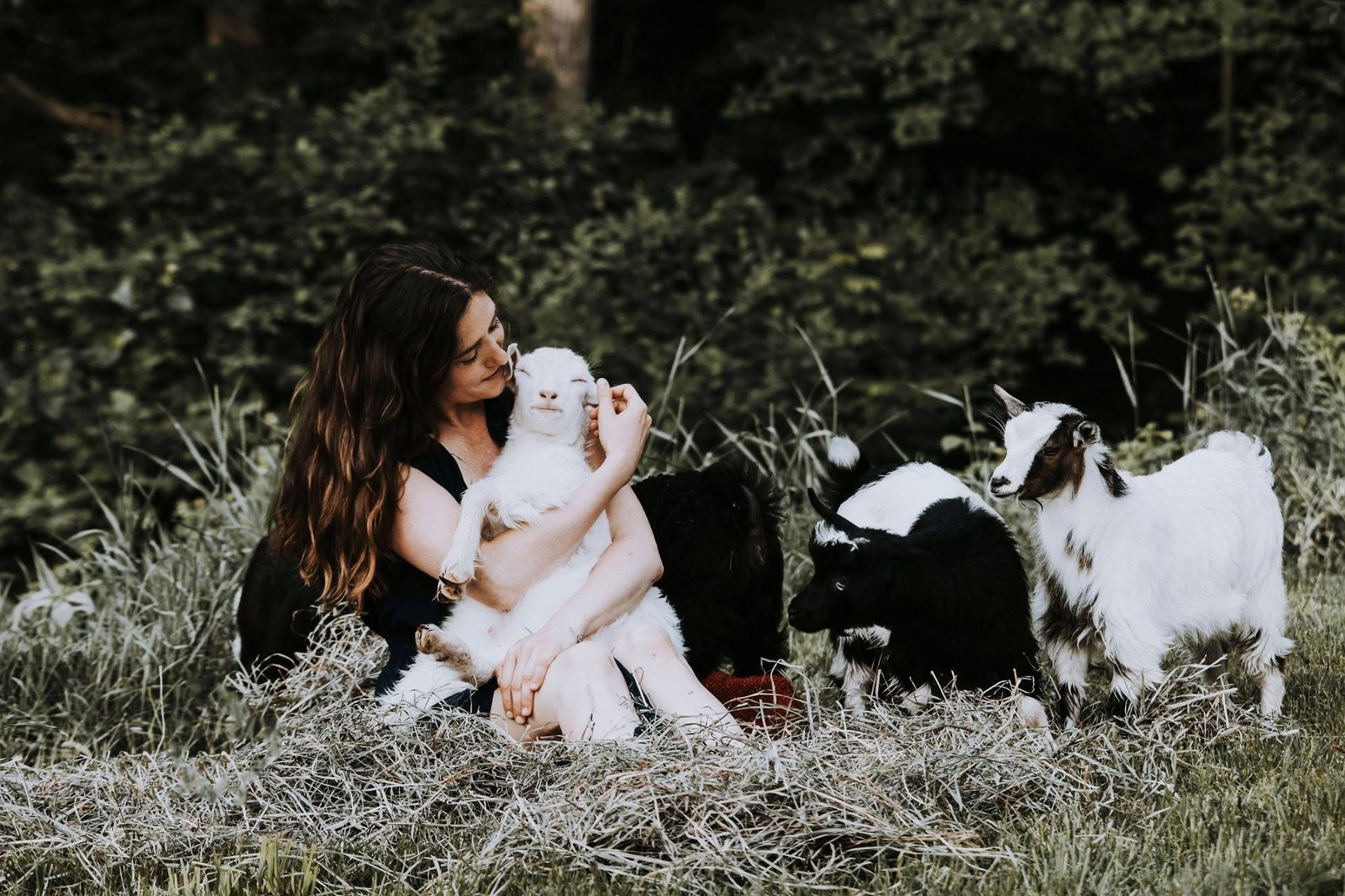 A woman is sitting in the grass holding a baby goat.