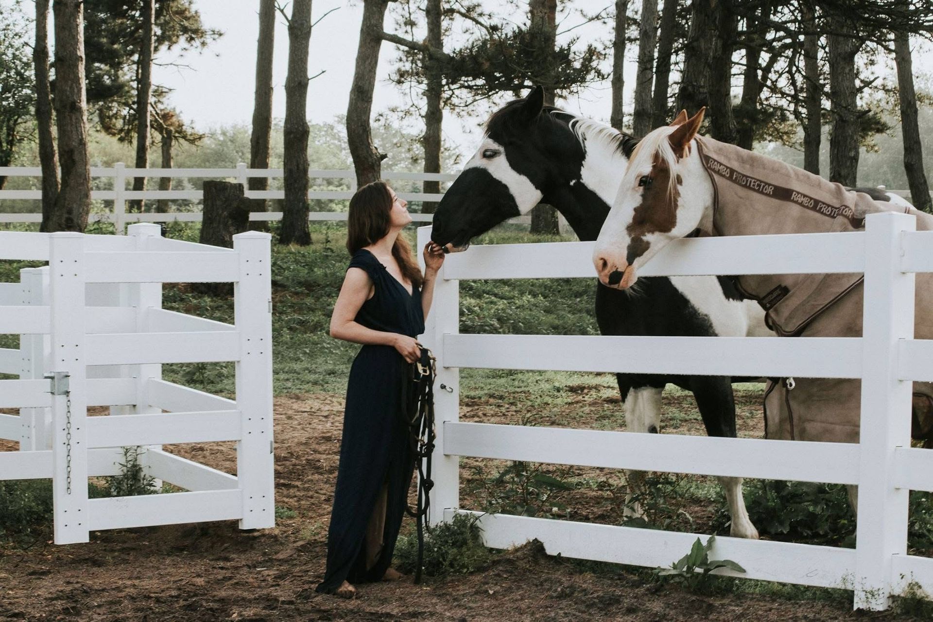 A woman is petting a horse behind a white fence.