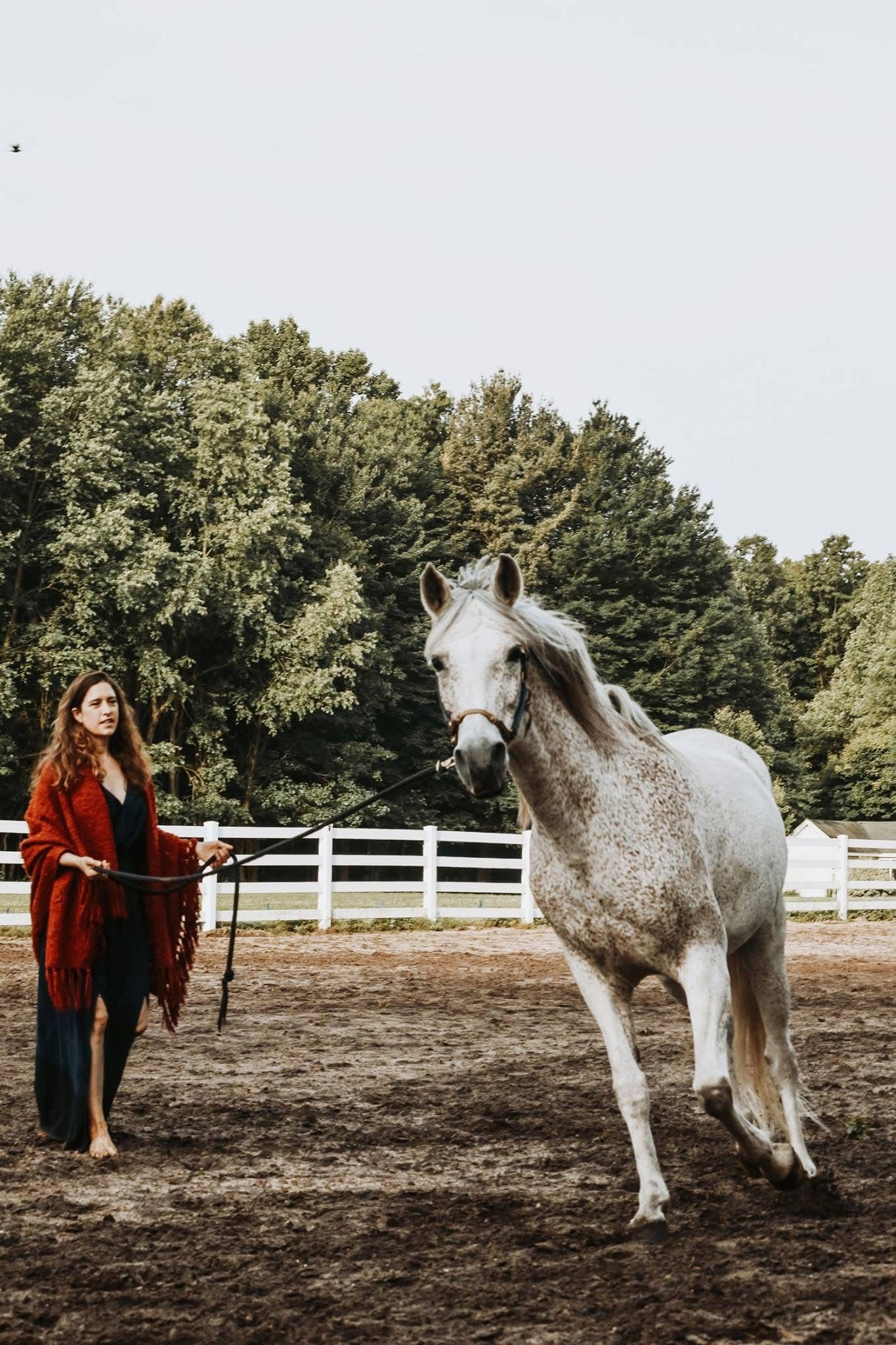 A woman is standing next to a white horse in a field.