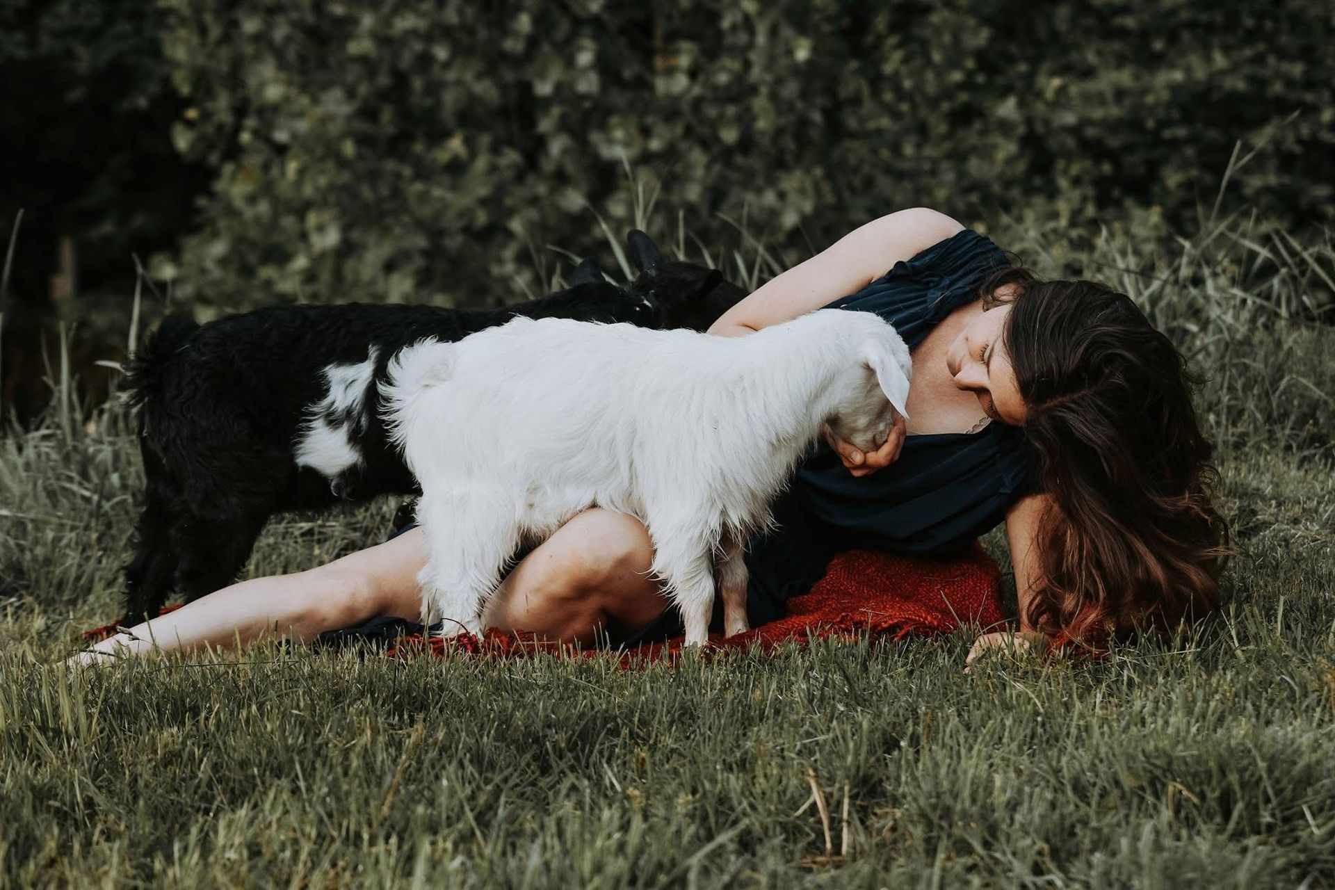 A woman is laying in the grass with two goats.