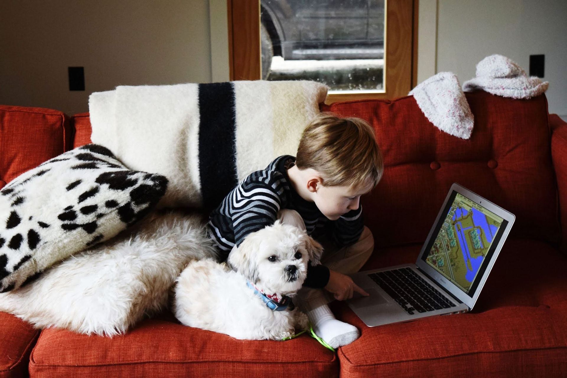 A boy and a dog are sitting on a couch looking at a laptop.
