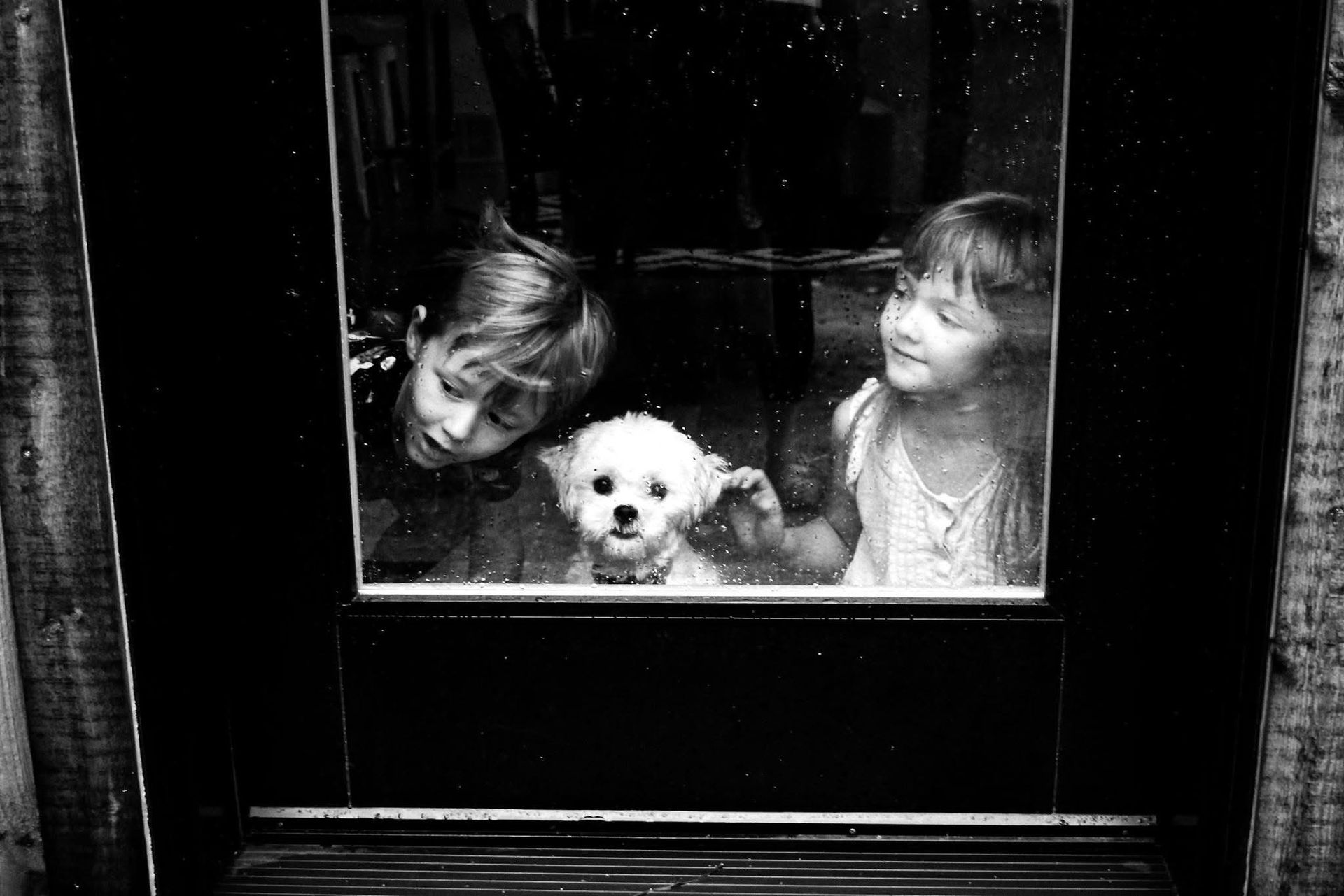 A boy and a girl are looking out of a window at a dog.