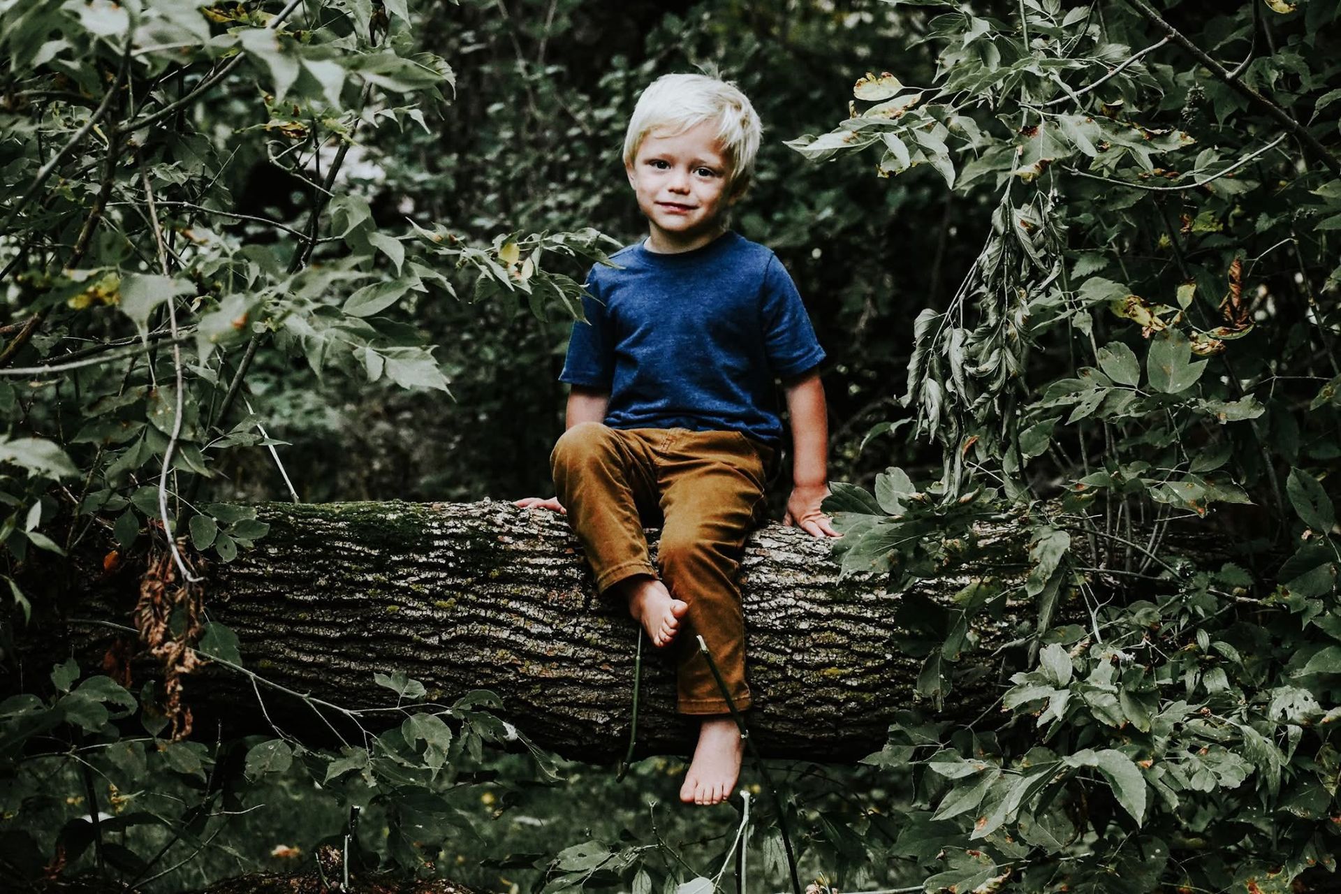 A young boy is sitting on a log in the woods.