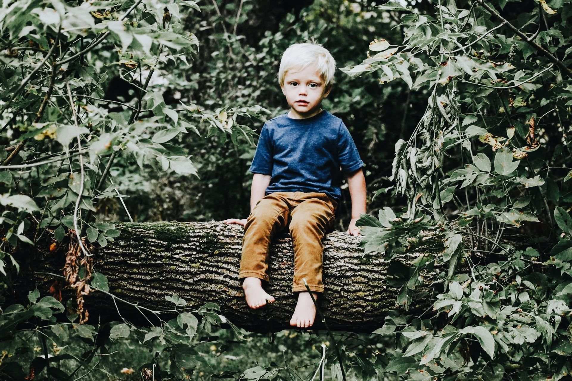A young boy is sitting on a log in the woods.