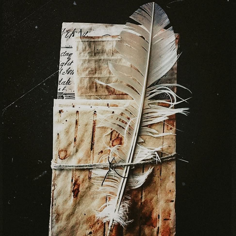 A feather is sitting on top of a piece of paper