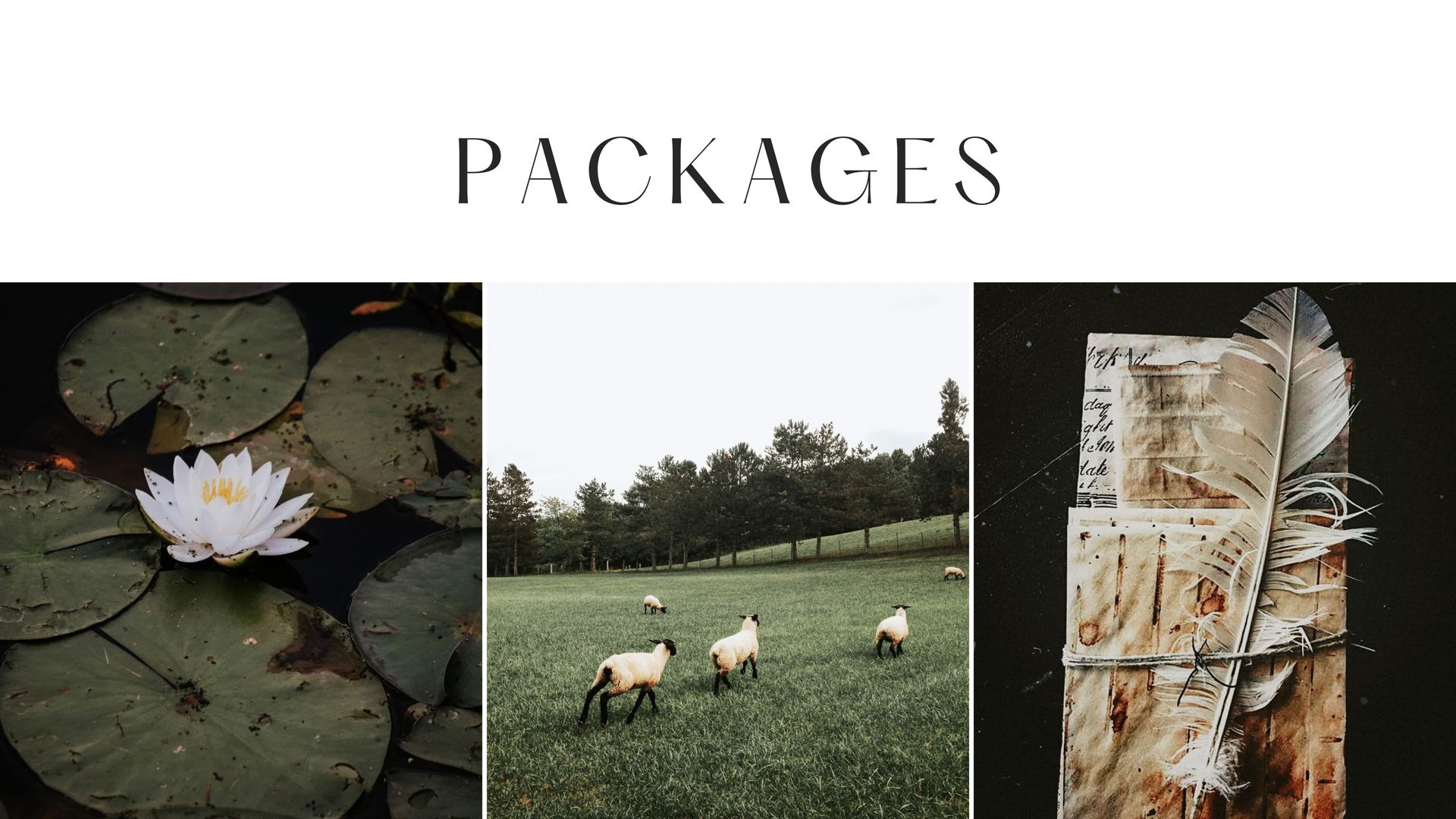 A collage of three pictures with the words `` packages '' at the top.