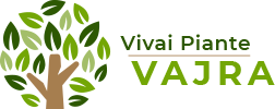 logo Vivai Piante Vajra