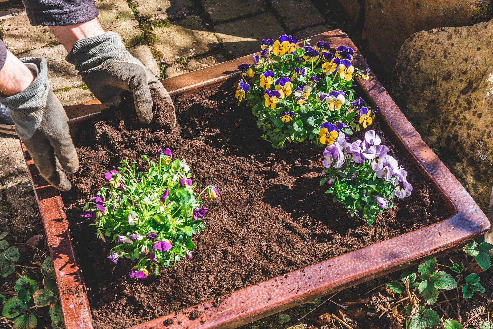 Installazione e Invasamenti piante