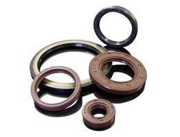 Oil and Grease Seals