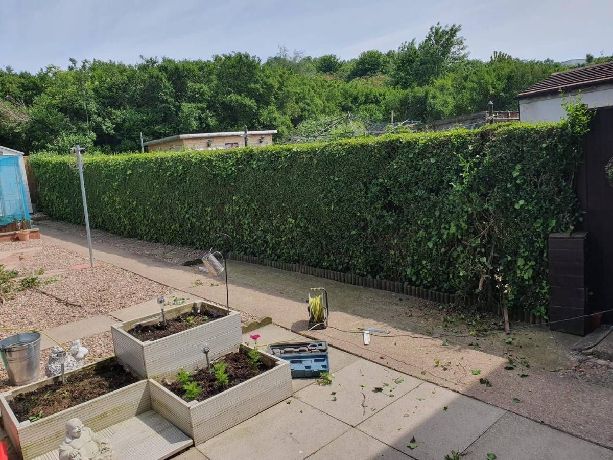 existing hedge to be replaced by a fence in Sneinton