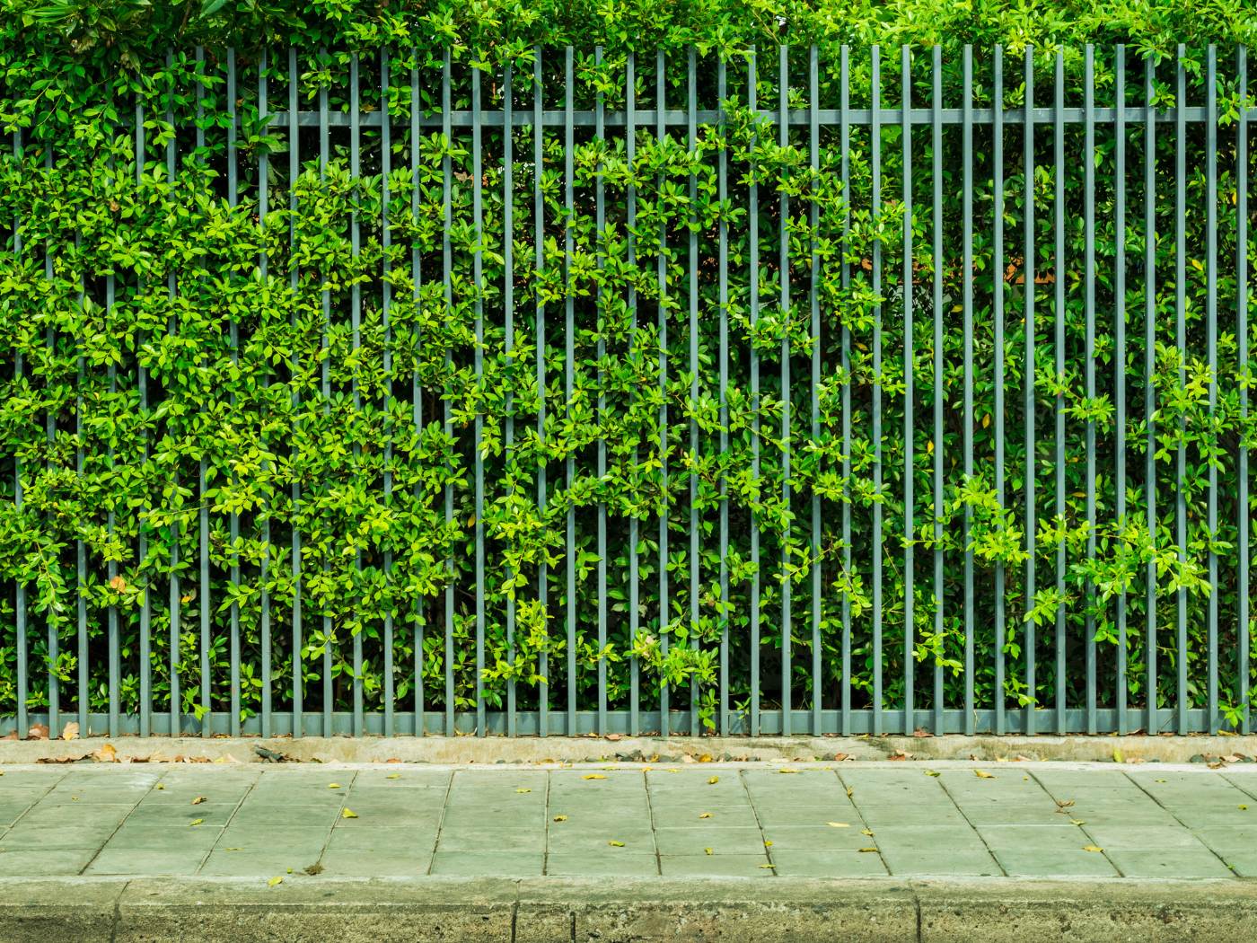 Nottingham Fencing vertical bar railings for a school