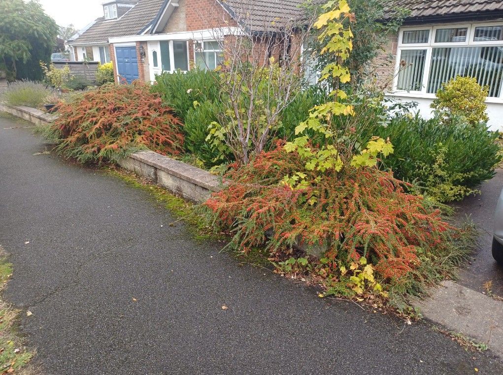 Before clearing all the green waste from the front garden of this client from Woodthorpe, Nottingham