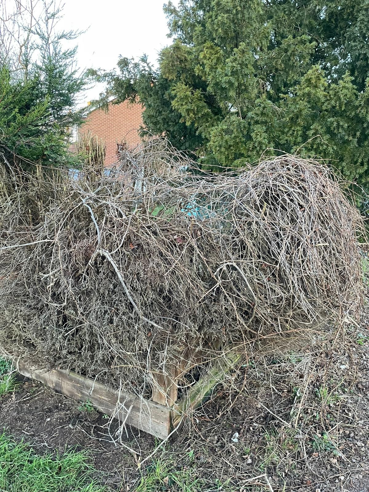 Nottingham Fencing asked to provide a garden clearance in Chilwell