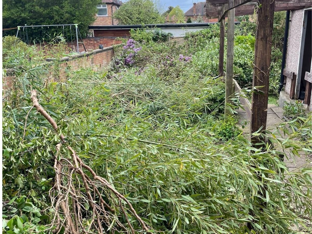Nottingham Fencing about to start a garden clearance in Wollaton ,Nottingham