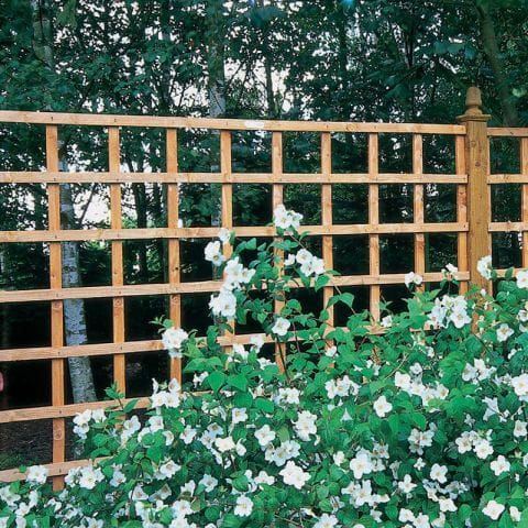 Nottingham fencing large square trellis