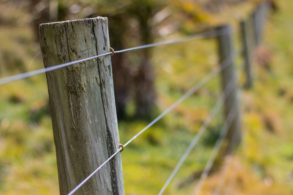 Nottingham Fencing Post & Wire Livestock Fencing