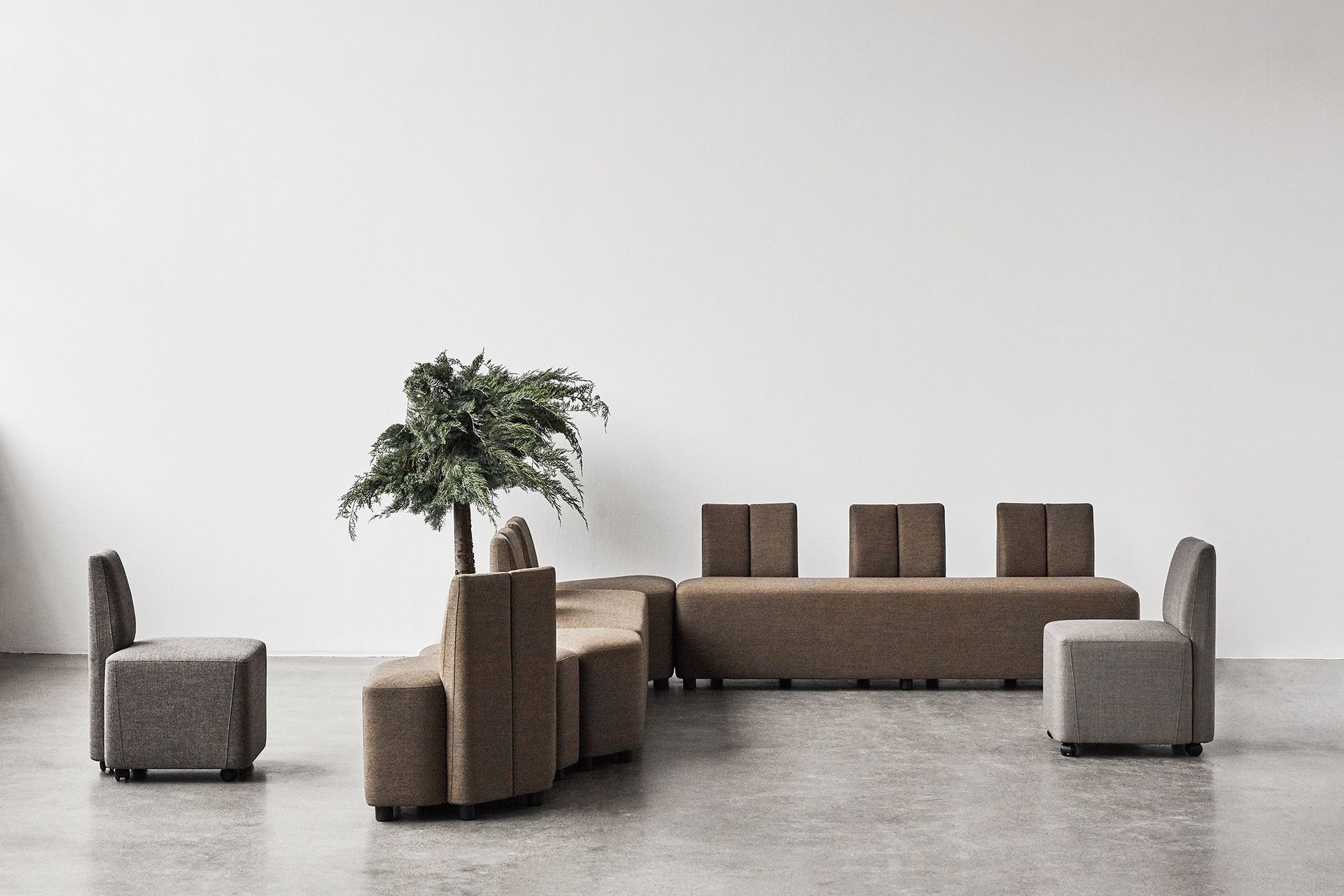 Modern minimalist soft seating arrangement with a tree. Grey and brown furniture against a white wall.