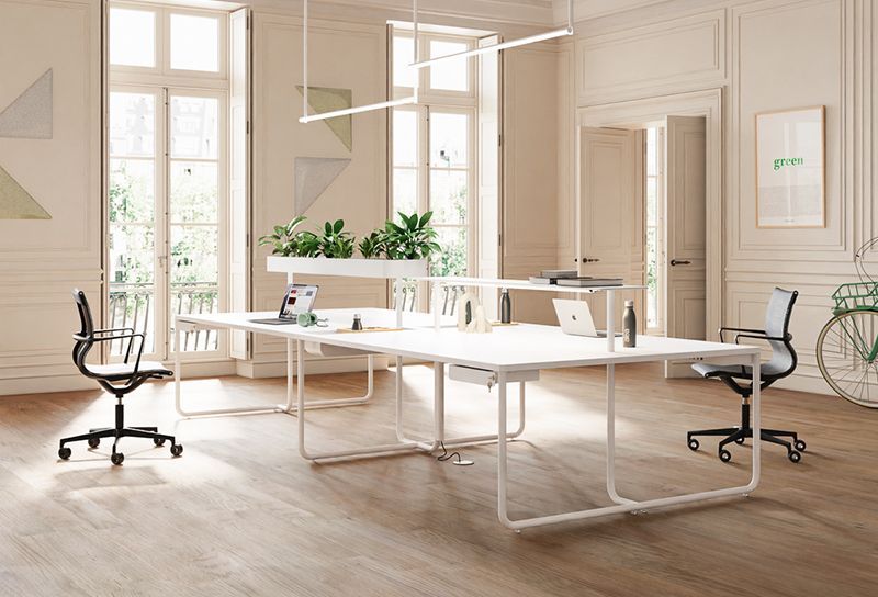 Spacious office with white desks, modern chairs, and plants; large windows, light wood floors.