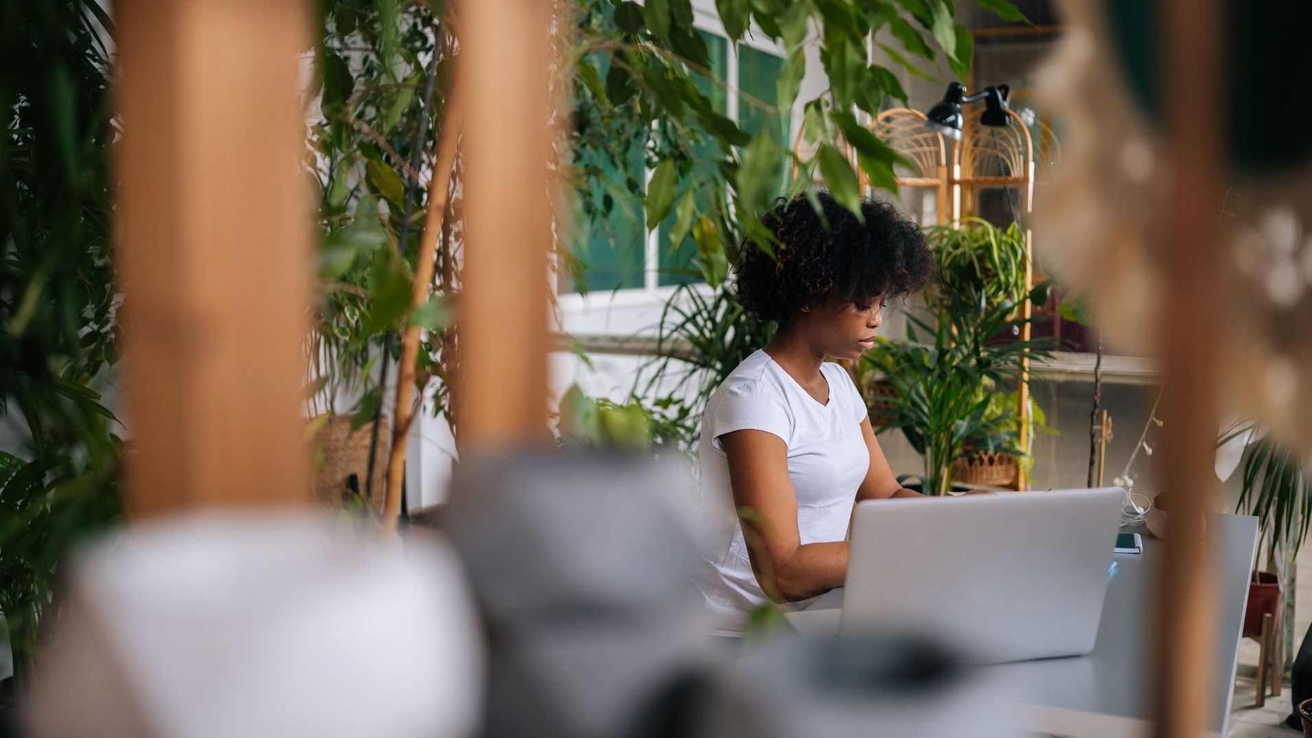 a Black girl with curly hair is worknig at a laptop in an office thriving with natural greenery. 